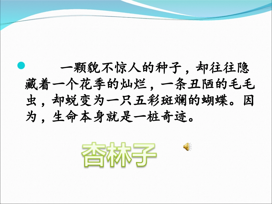 生命生命完美版 _第3页