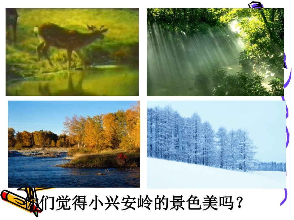美丽的小兴安岭PPT课件秦艳_第3页