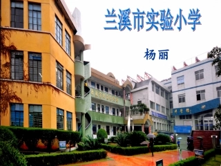 《我爱故乡的杨梅》PPT
