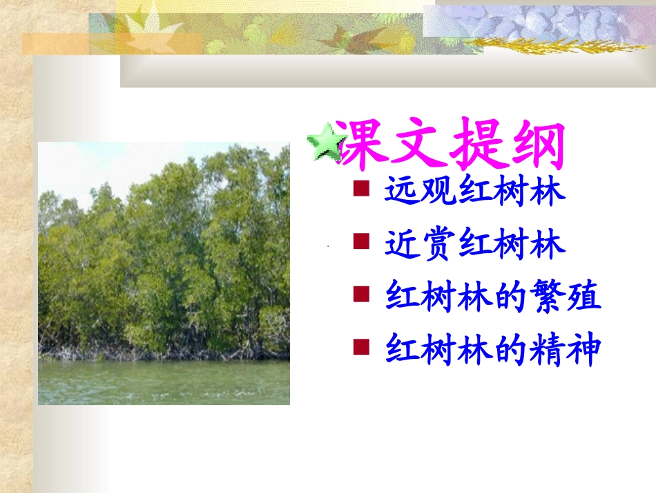《红树林》课件_第2页