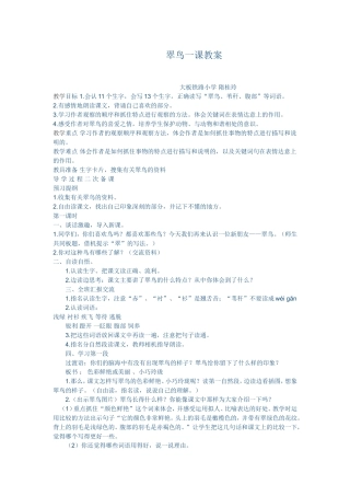 翠鸟一课教案