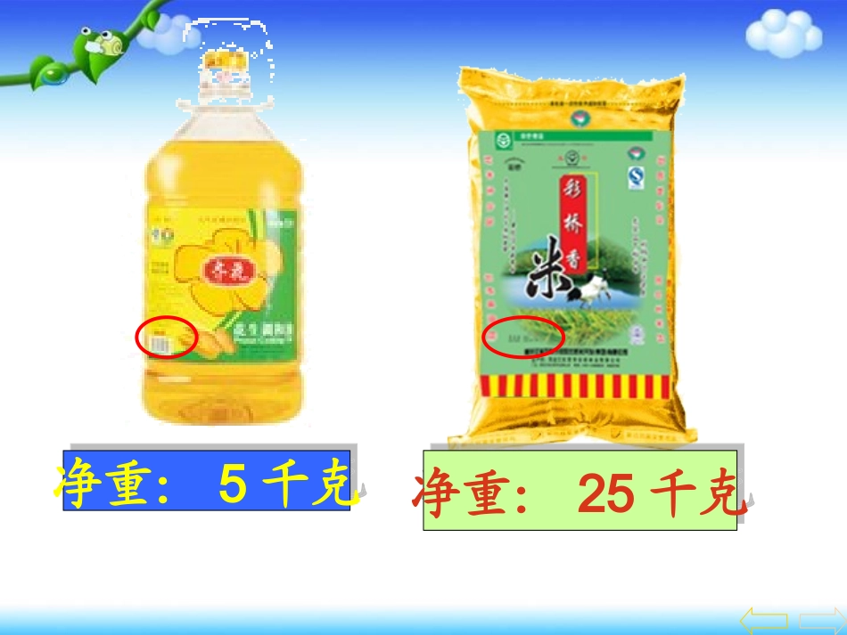 新授克和千克_第2页