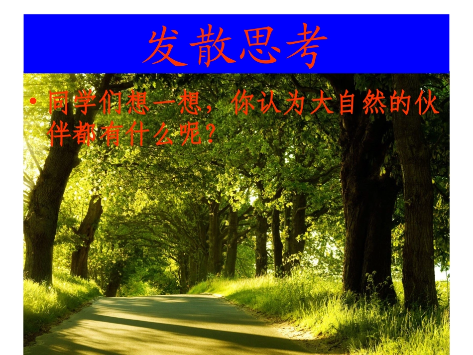 大自然中的伙伴_第2页