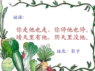 《9影子》课件