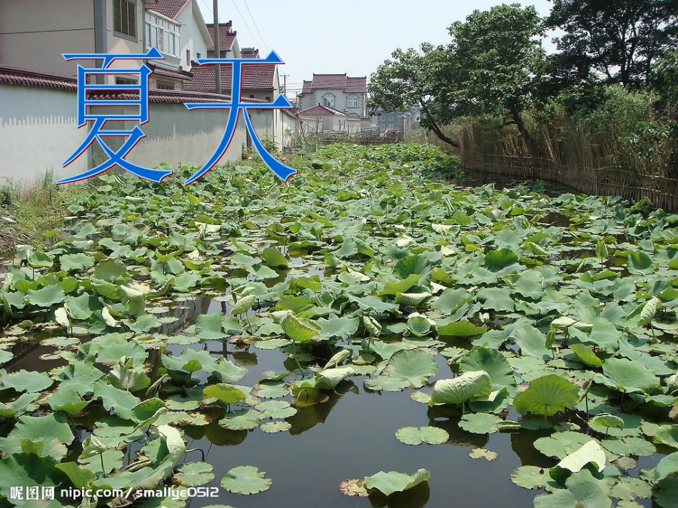 幼儿园秋天的颜色课件PPT_第2页