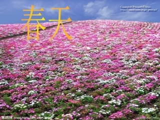 幼儿园秋天的颜色课件PPT