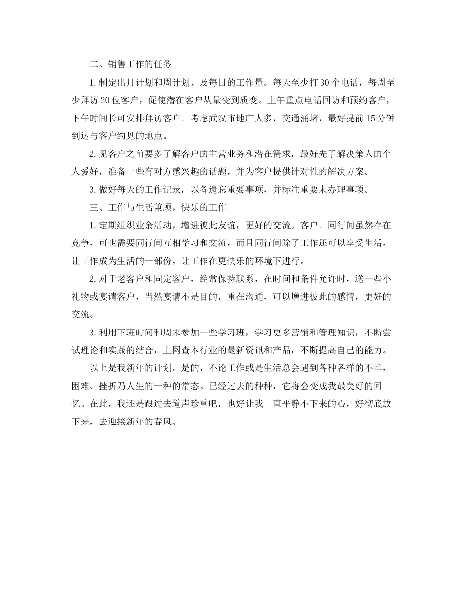 新年工作计划内容_第2页