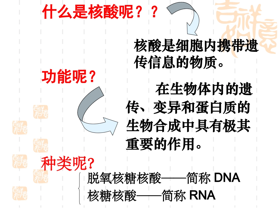 【生物】23遗传信息的携带者——核酸课件1（人教版必修1）_第3页