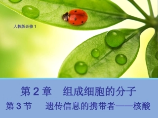 【生物】23遗传信息的携带者——核酸课件1（人教版必修1）