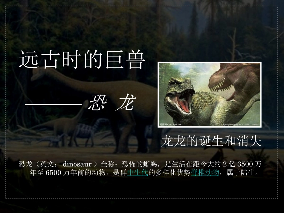 龙龙的诞生和消失_第1页