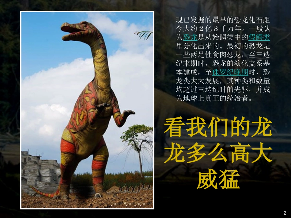 龙龙的诞生和消失_第2页