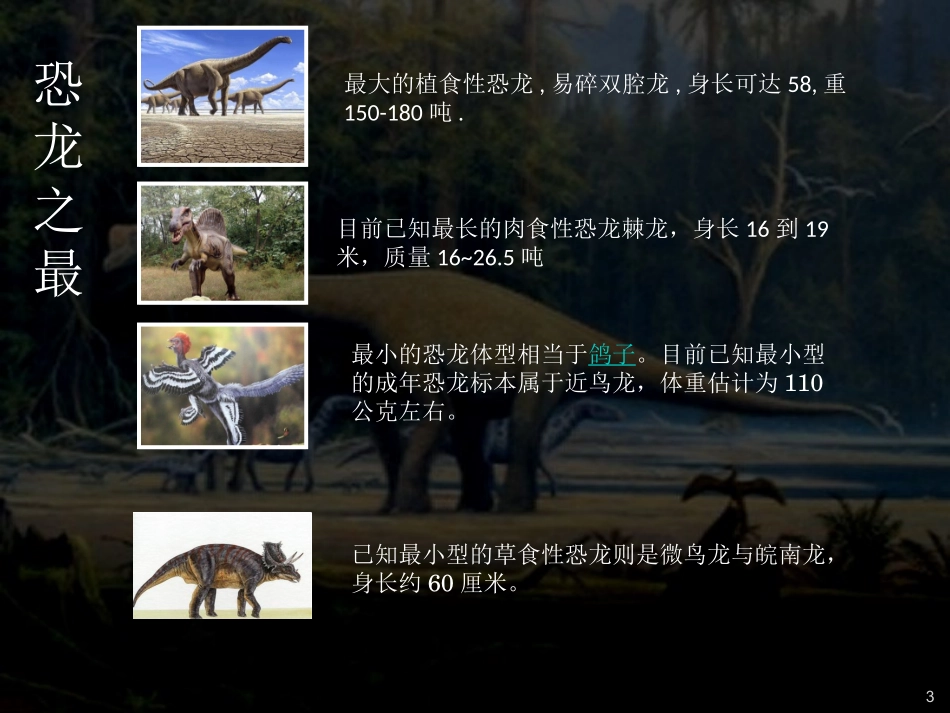 龙龙的诞生和消失_第3页