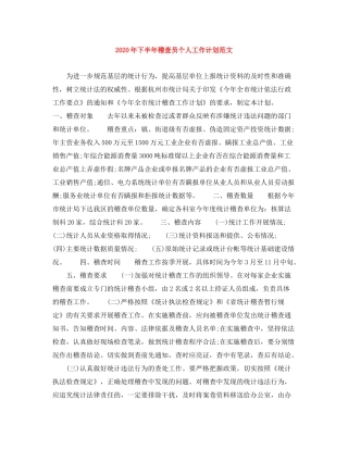2020年下半年稽查员个人工作计划范文