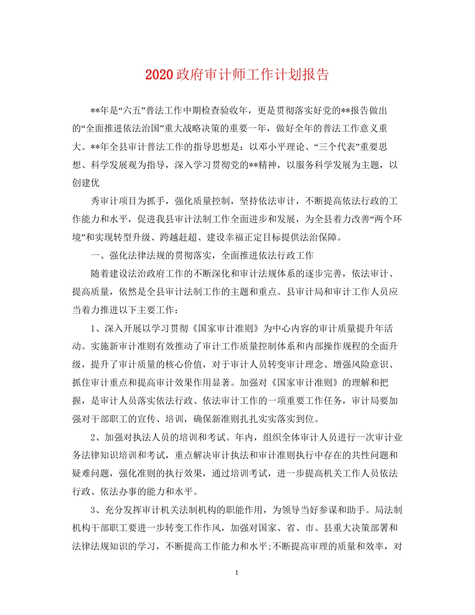 政府审计师工作计划报告_第1页
