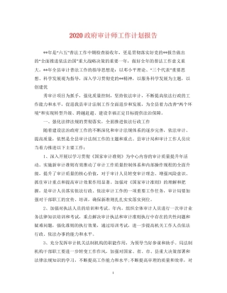 政府审计师工作计划报告