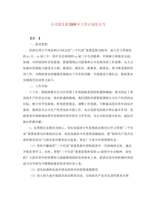 公司团支部年工作计划怎么写