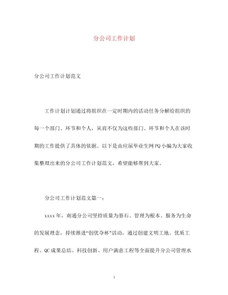 分公司工作计划