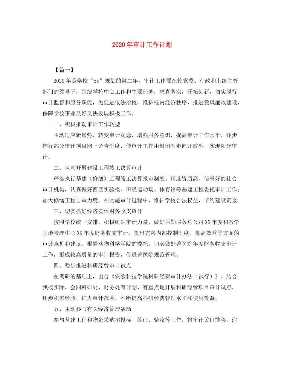 2020年审计工作计划_第1页