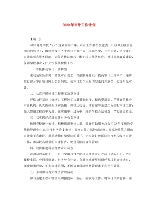 2020年审计工作计划