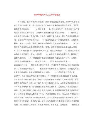 2020年统计员个人工作计划范文