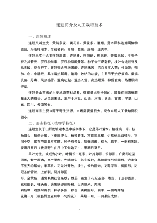 连翘简介及人工栽培技术