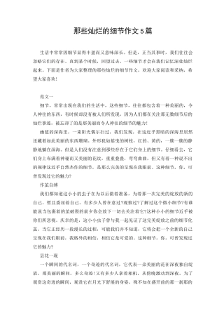 那些灿烂的细节作文5篇 