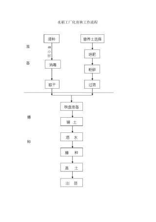 水稻工厂育秧流程