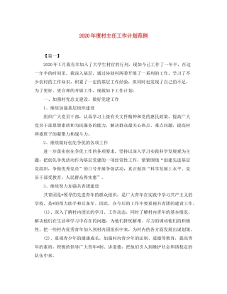 2020年度村主任工作计划范例