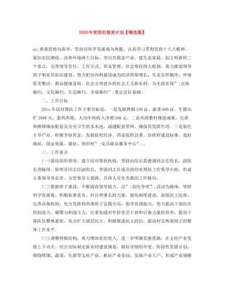 2020年贫困村脱贫计划【精选篇】
