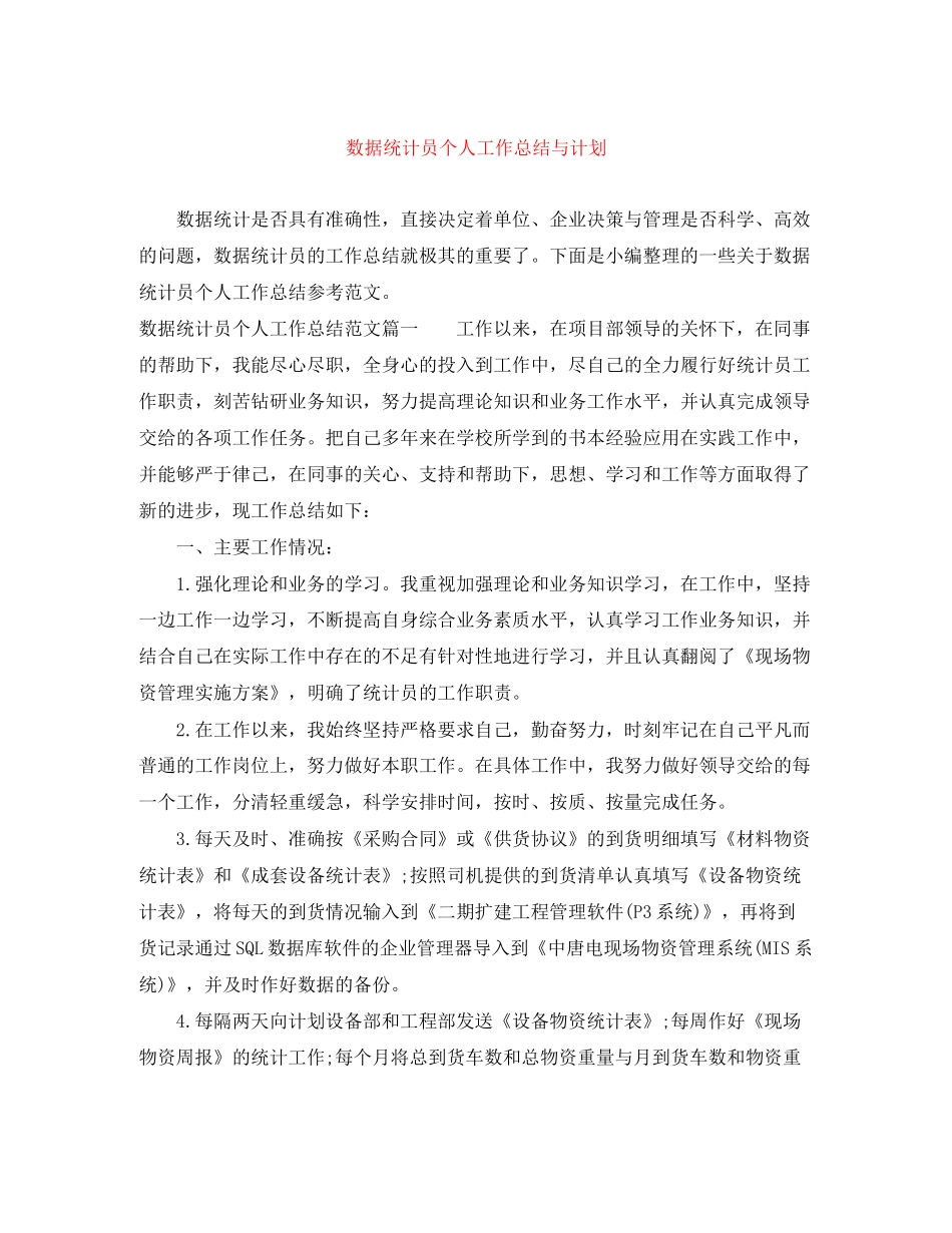数据统计员个人工作总结与计划_第1页