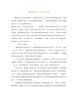 数据统计员个人工作总结与计划