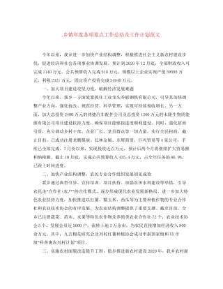 乡镇年度各项重点工作总结及工作计划范文