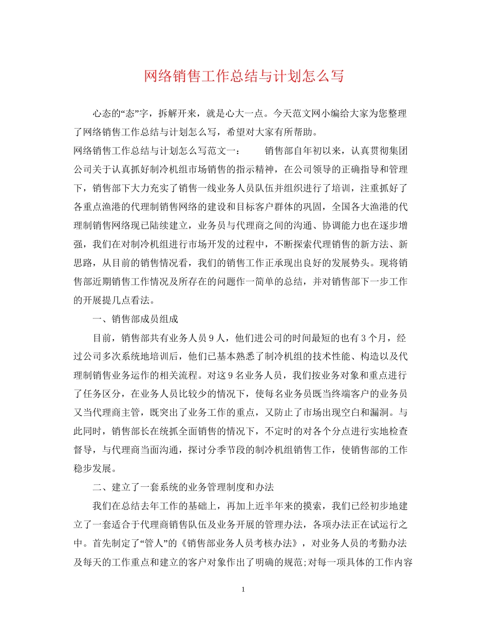 网络销售工作总结与计划怎么写_第1页
