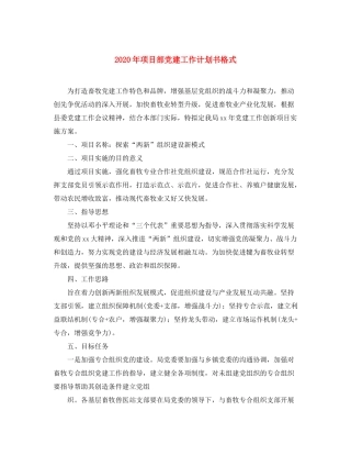 2020年项目部党建工作计划书格式