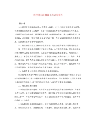 农村团支部工作计划报告