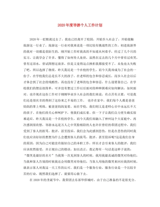 2020年度导游个人工作计划