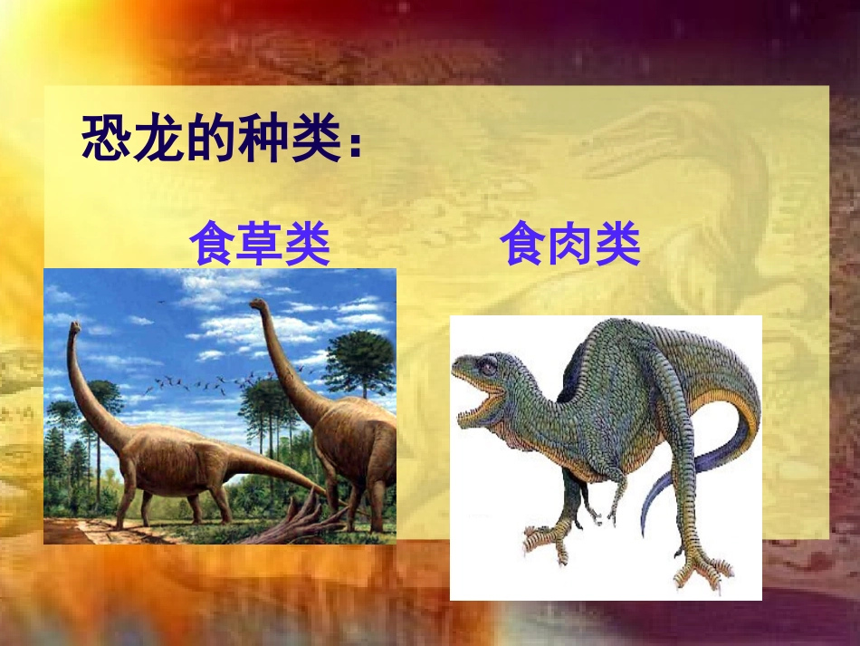 恐龙世界课件_第3页