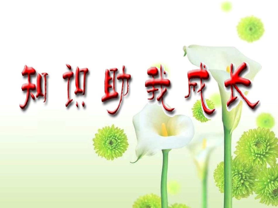 知识助我成长 (2)_第2页