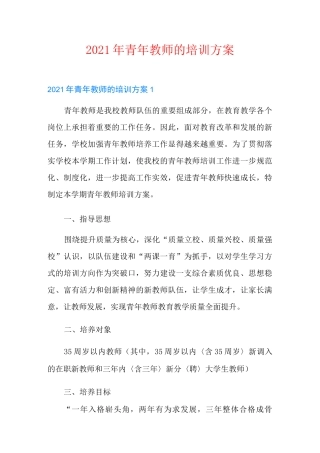 2021年青年教师的培训方案