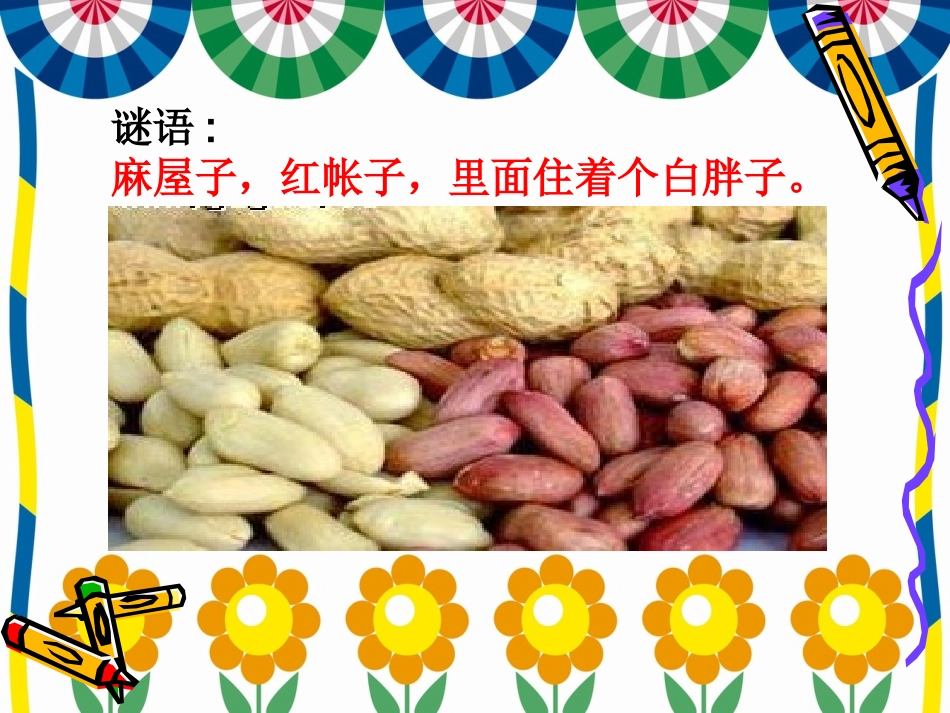 小松鼠找花生果 (2)_第1页