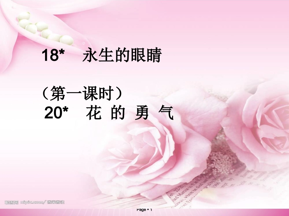 四年级下册略读课_第1页