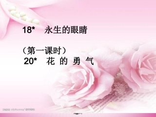 四年级下册略读课