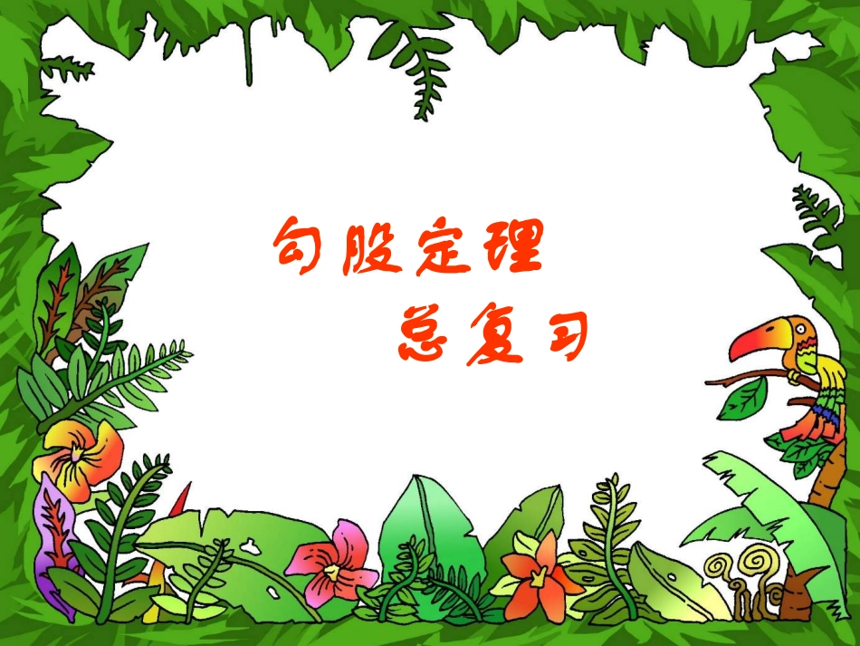 勾股定理复习(4)_第1页