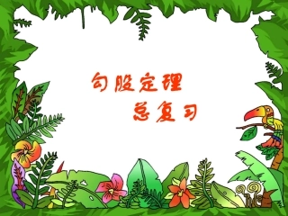 勾股定理复习(4)