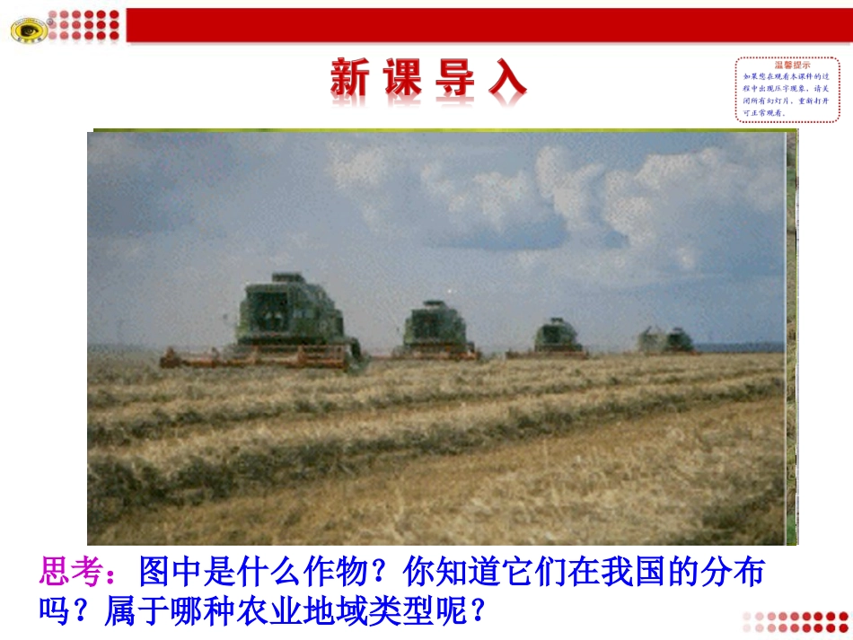 第二节以种植业为主的农业地域类型_第2页