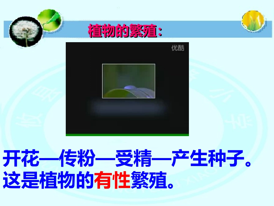 无心插柳柳成荫_第2页