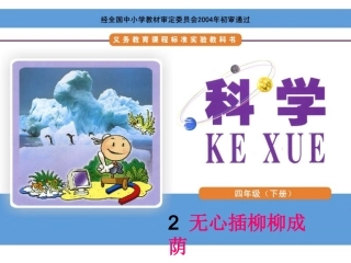 无心插柳柳成荫