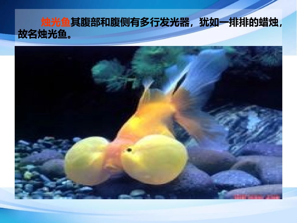 会发光的世界_第3页