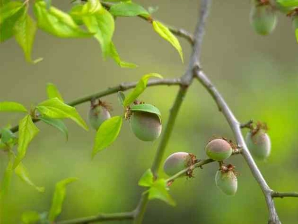 美丽的小兴安岭李万杰_第3页