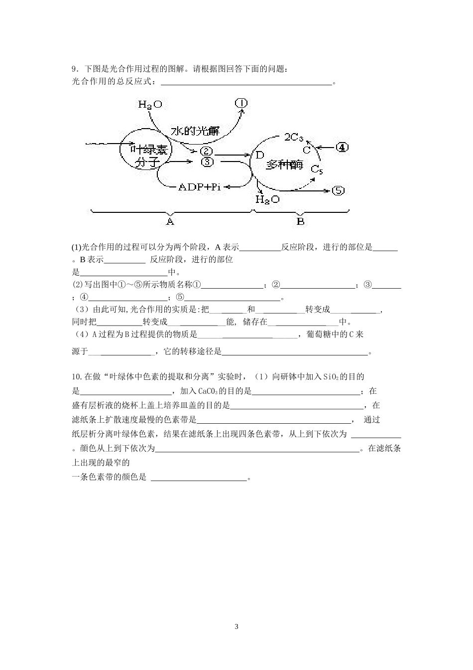必修1基础知识归纳3_第3页